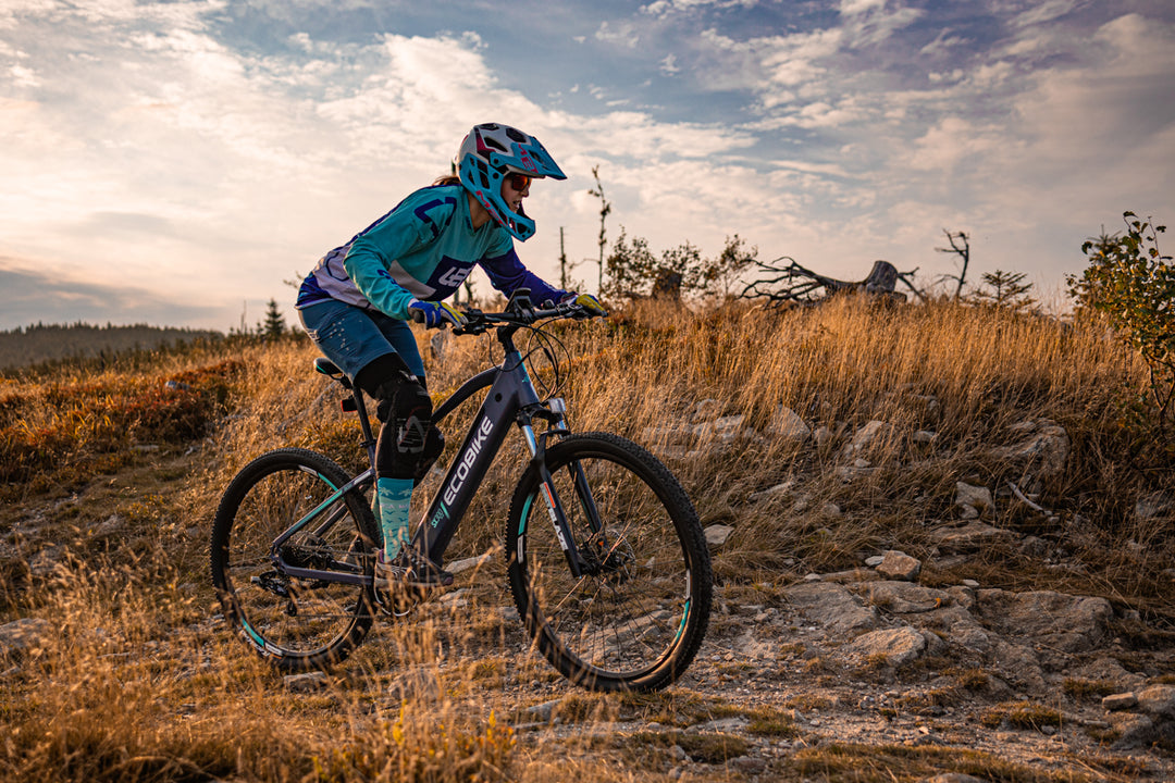 What is an electric mountain bike?