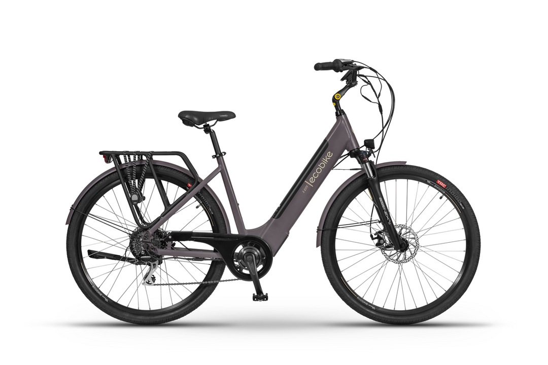 EcoBike X-City - Electric Bike