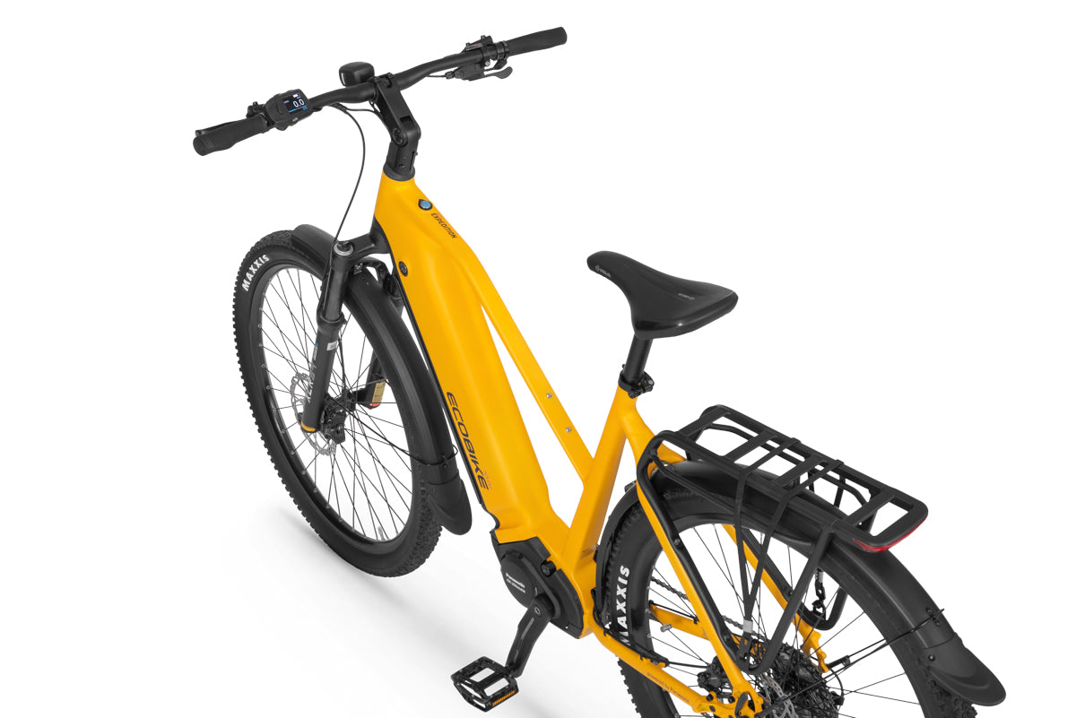 Eco expedition bike online