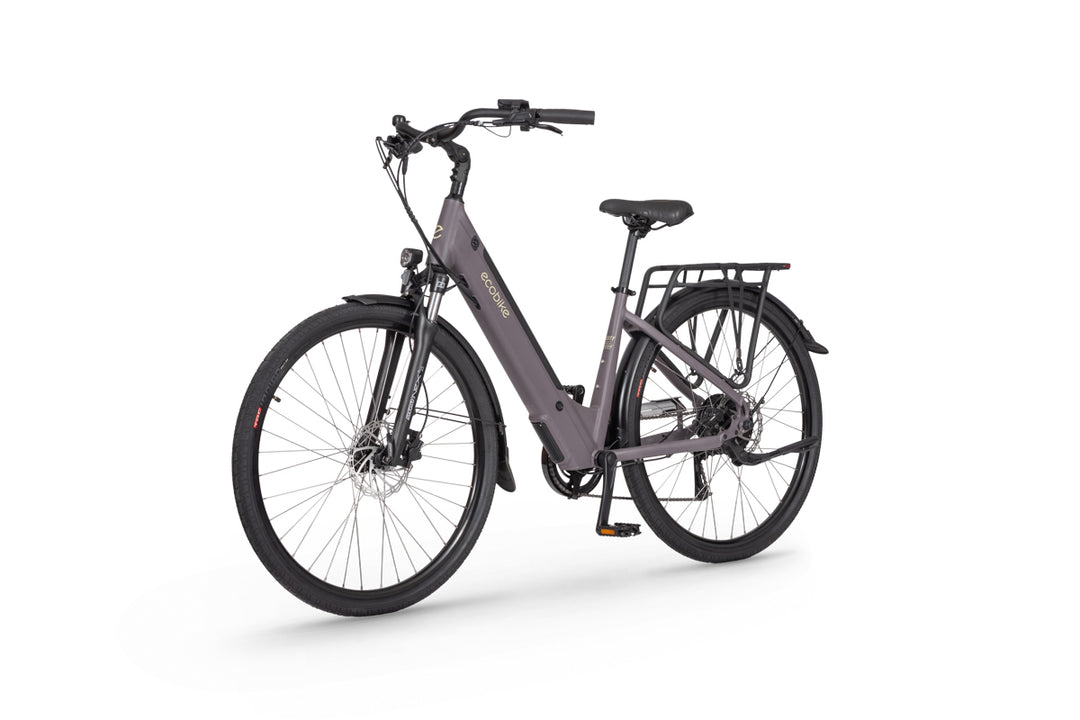 EcoBike X-City - Electric Bike