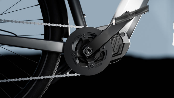 TENWAYS AGOX - Electric Bike