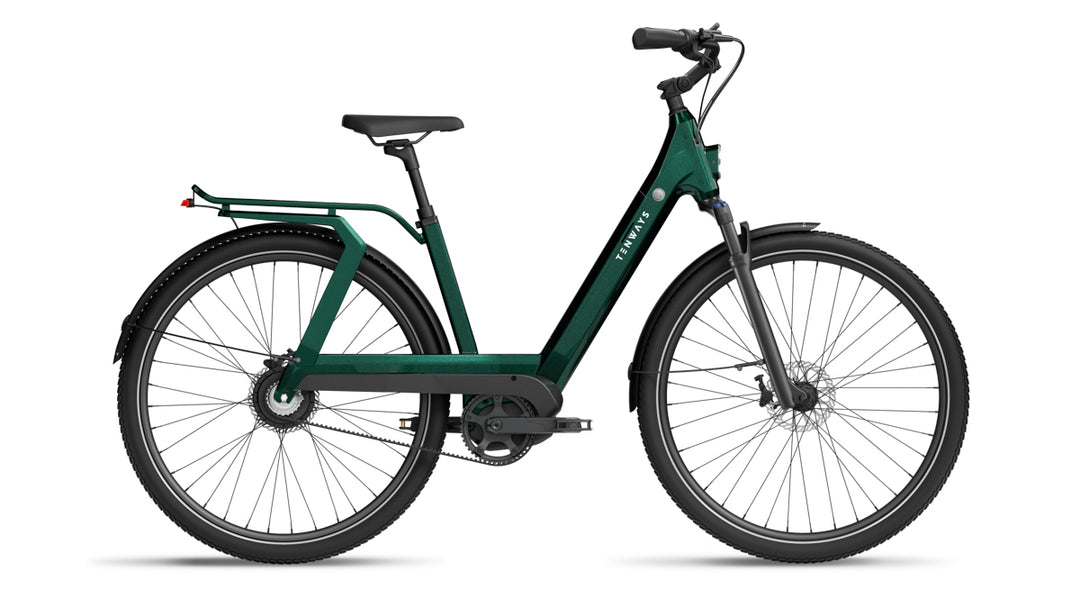 TENWAYS AGOT - Electric Bike