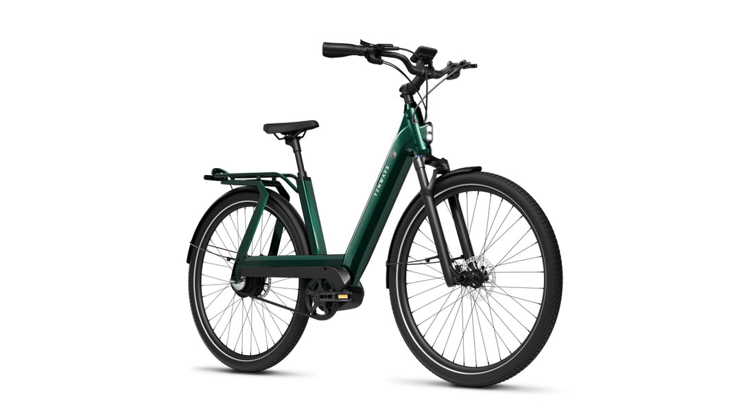 TENWAYS AGOT - Electric Bike