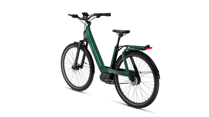 TENWAYS AGOT - Electric Bike