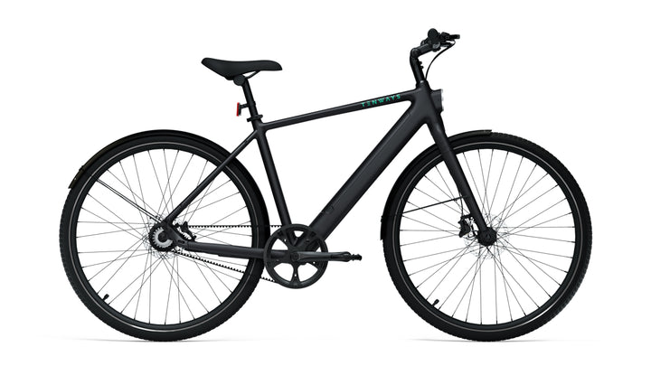 TENWAYS CGO600 Pro - Electric Bike