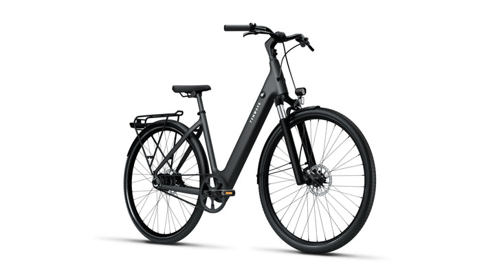 TENWAYS CGO800S - Electric Bike