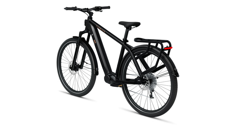 TENWAYS AGOX - Electric Bike