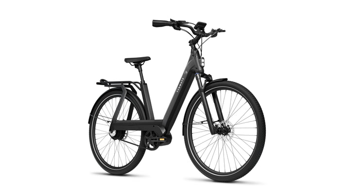 TENWAYS AGOT - Electric Bike