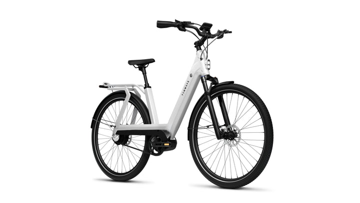 TENWAYS AGOT - Electric Bike