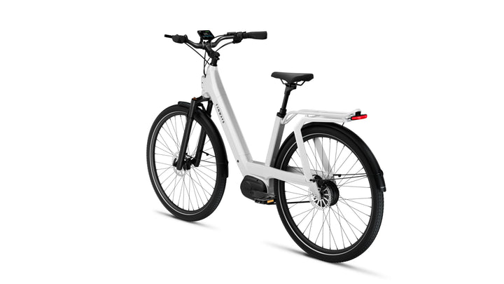 TENWAYS AGOT - Electric Bike