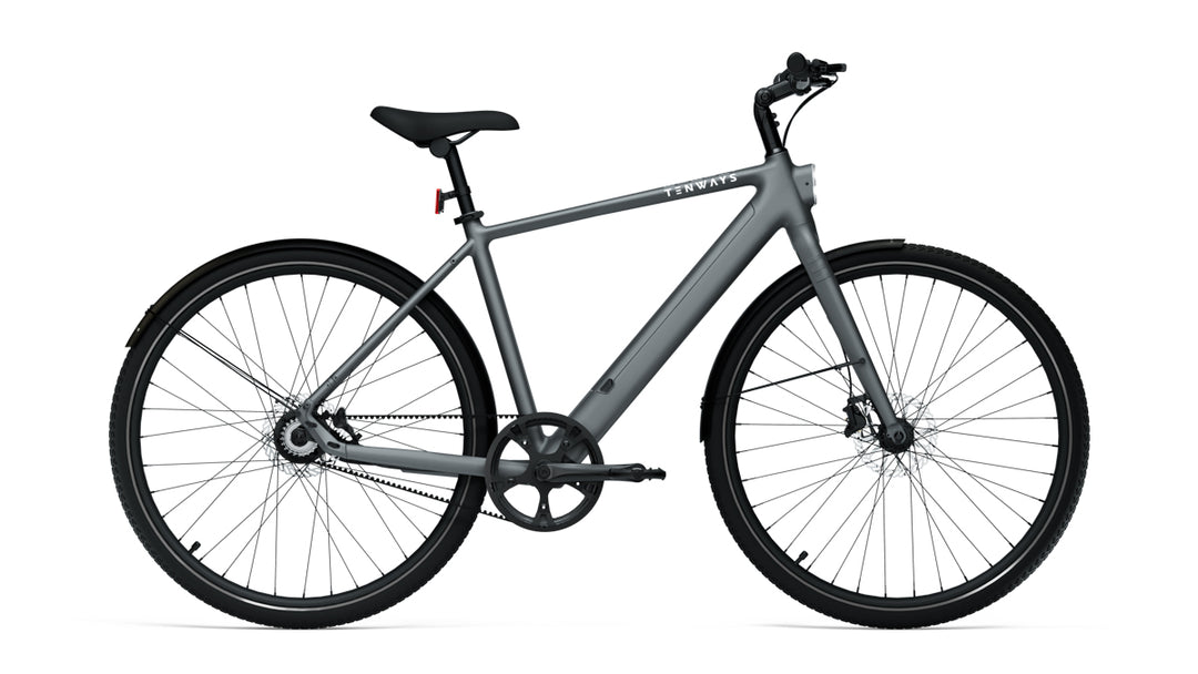 TENWAYS CGO600 Pro - Electric Bike