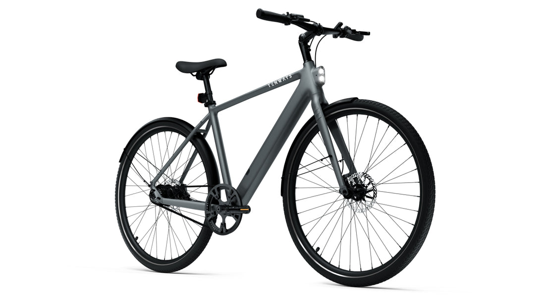 TENWAYS CGO600 Pro - Electric Bike