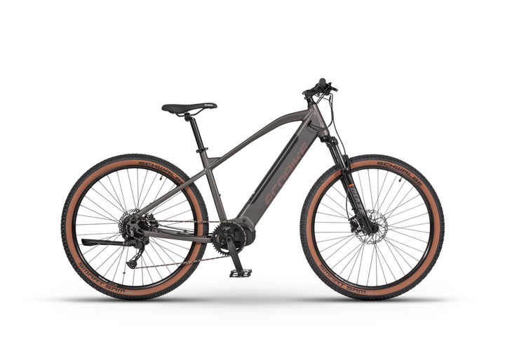 Ecobike SX300 - Electric Bike