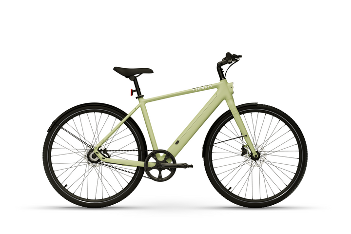 TENWAYS CGO600 Pro - Electric Bike