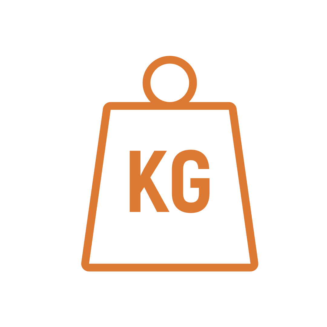 Electric bike weight logo in orange